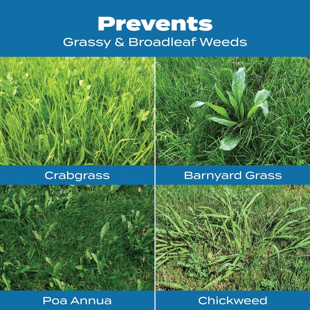 scotts-turf-builder-halts-crabgrass-prev-4.jpg