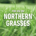 roundup-for-lawns1-ready-to-use-with-ext-6.jpg