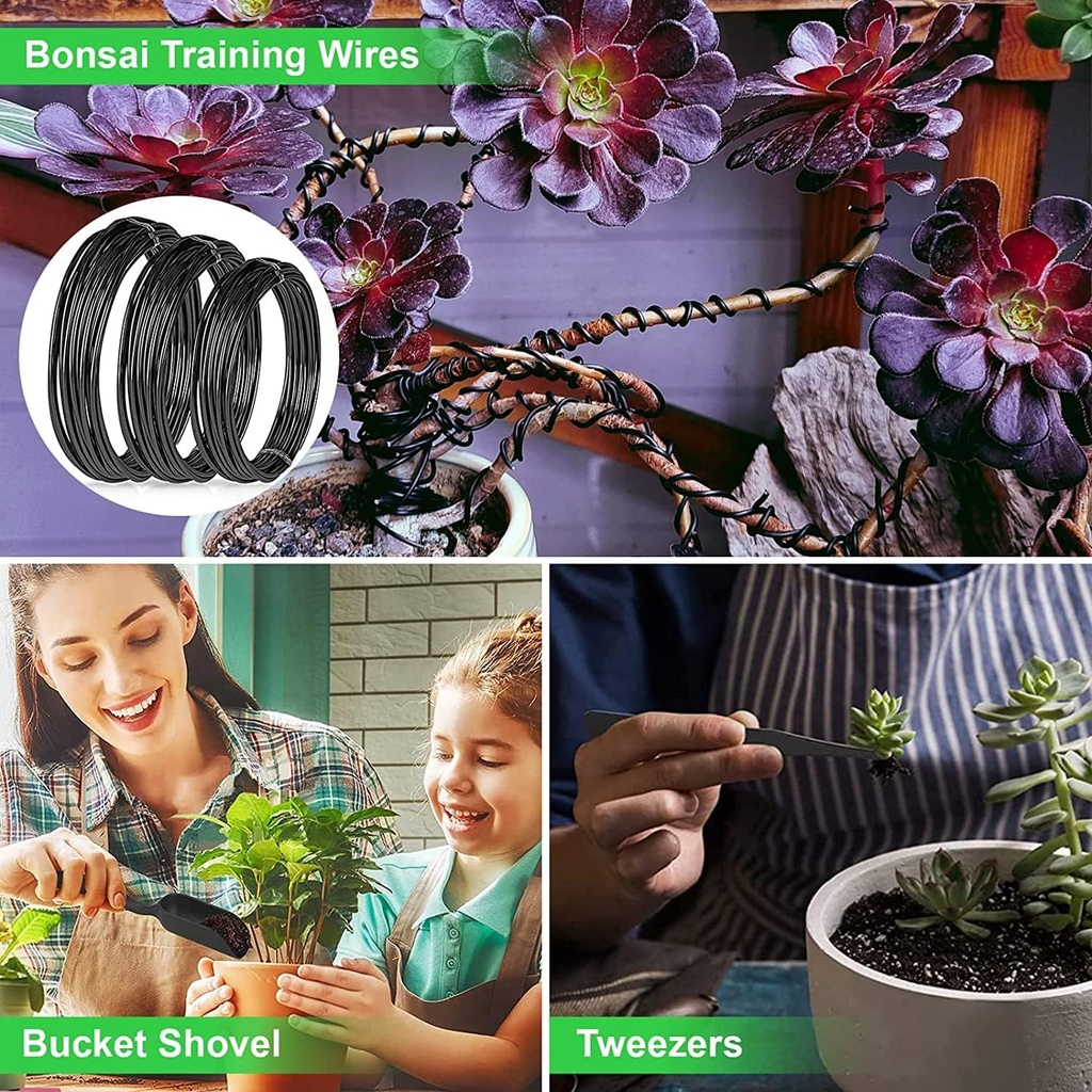 bonsai-tools-kit--24-pcs-bonsai-tree-kit-4.jpg