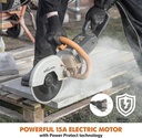 evolution-r230dct---9-in-concrete-saw-ci-2.jpg