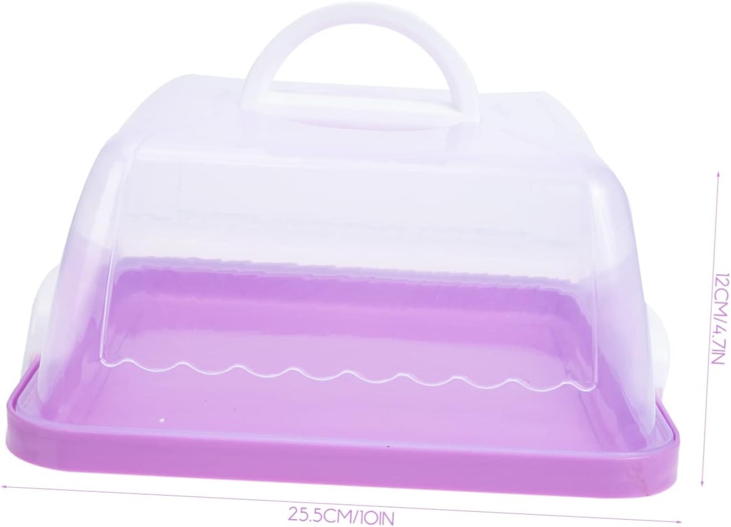 plastic-cake-boxes-for-birthday-cake-con-2.jpg