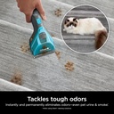shark-carpetxpert-deep-clean-pro-formula-5.jpg