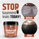 liquid-rubber-basement-and-foundation-re-2.jpg