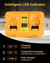 2-pack-60ah-battery-replacement-for-dewa-5.jpg