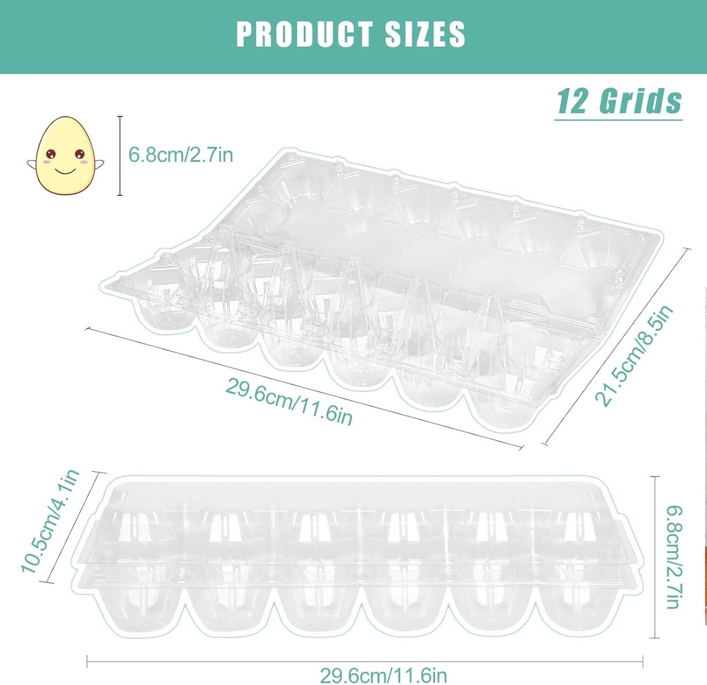 60-packs-12-count-clear-egg-cartons-2-6--3.jpg