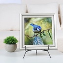 6-pack-upgraded-plate-display-stands-8-i-5.jpg