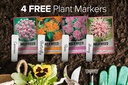 gardeners-basics-milkweed-seeds-for-mona-3.jpg