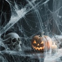 halloween-spider-web-decorations-200-sq--6.jpg