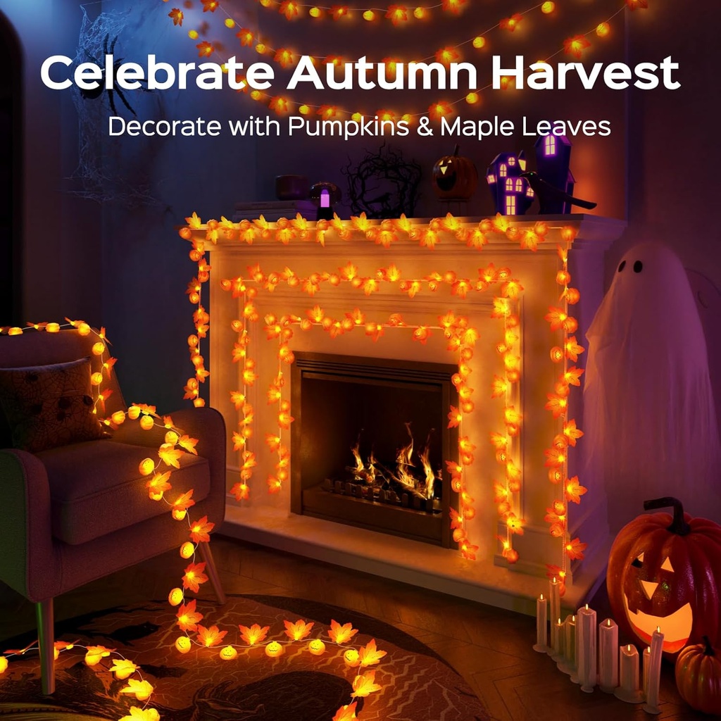 jackyled-halloween-string-lights-30-led--2.jpg
