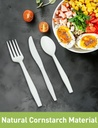 100-compostable-200-count-no-plastic-spo-4.jpg