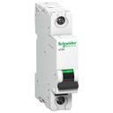 Schneider 2A SP C-Curve ACTI9 10kA MCB (Beyaz) (A9N1P02C)