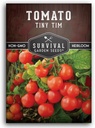 Survival Garden Seeds - Tiny Tim Tomato Seeds for Planting - 1 Pack with Instructions to Grow in Your Home Vegetable Garden - Non-GMO Heirloom Variety